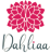 Dahliaa Interior Studio Logo