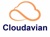 Cloudavian Logo