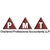 PMT Chartered Professional Accountants LLP Logo