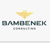Bambenek Consulting, LTD Logo