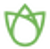 Seedz Logotype