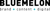 BlueMelon Design Logo