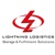 Lightning Logistics International LTD Logo