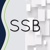 S.S.Burad & Associates Logo