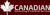 Canadian Accounting & Financial Services Logo