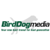 Birddog Media Logo