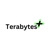Terabytes Plus Logo
