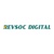 Revsoc Digital Logo