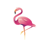 Flawless Flamingo Logo