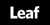 Leaf Design Logo