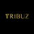 Tribuz Projects Pvt. Ltd. Logotype