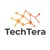 TechTera, LLC Logo