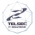 Telsec IT Logo