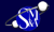 Smith Mandel & Associates LLP Logo