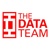 The Data Team Logo