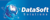 Datasoft Solutions Logo