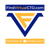 FindVirtualCTO Logo