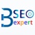 SEO Freelancer Pune Logo