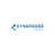 SynerEdge Solutions LLC Logo