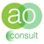 AO Consult LLC Logo
