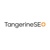 TangerineSEO Logotype