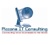 Piccone IT Consulting