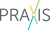 PRAXIS Strategic Consulting, LLC Logo