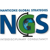 Nanticoke Global Strategies LLC Logo