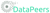 datapeers Logo