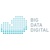 Big Data Digital Logo