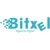 Bitxel Logo
