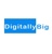 Creative Digital Marketing Agency Delhi | Digitally Big Logo