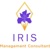 Iris Management Consultant Logo