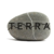 Terra Logo