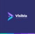 Visibla Solutions Logo