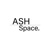 ASH Space Logo