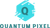 Quantum Pixel Enterprises Logo