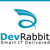 DevRabbit IT Solutions Logo