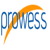 Prowess LLC Logo