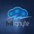 bitignyte Logotype