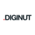 Digi Nut Logo