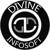 Divine Infosoft Logo