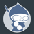 Drupal Ninja Logo