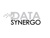 Data Synergo Sdn Bhd Logo