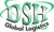 DSH Global Logistics Logo