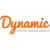 Dynamic Net Solutions Logo