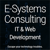 E-Systems Consulting IT & Web Development