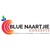 Provider Logotype Blue Naartjie Concepts Logo