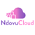 NdovuCloud Technologies Logo