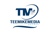 Teemikemedia Agency Logo